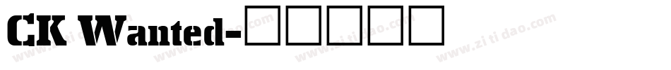 CK Wanted字体转换